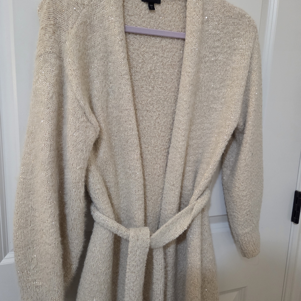 Express Sparkly Champagne Knit Cardigan